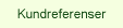 Kundreferenser